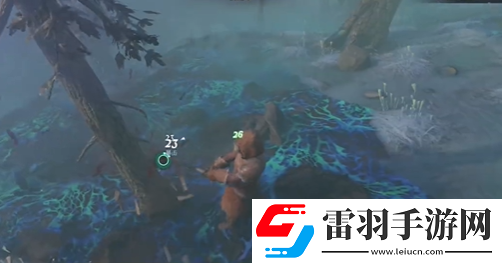 霧鎖王國(guó)碎布料怎么獲取