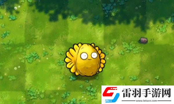 植物大戰(zhàn)僵尸融合版陽光堅果有什么用