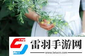 女生流出白白的東西怎么回事：健康預(yù)警與保養(yǎng)建議，全面解答你的疑問(wèn)！