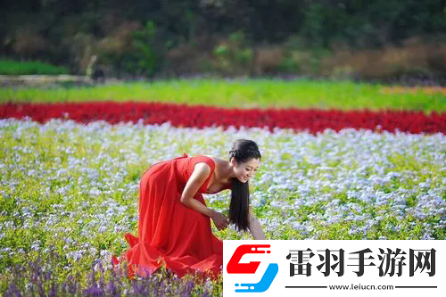 紅塵影院手機在線觀看：高質(zhì)量內(nèi)容和流暢播放體驗，熱門影片推薦與觀影指南！