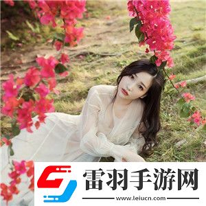 成品網(wǎng)站源碼1688免費(fèi)推薦可能要停運(yùn)