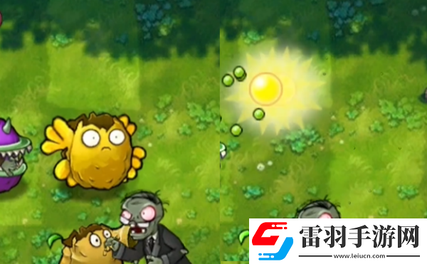 植物大戰(zhàn)僵尸融合版陽光堅果有什么用