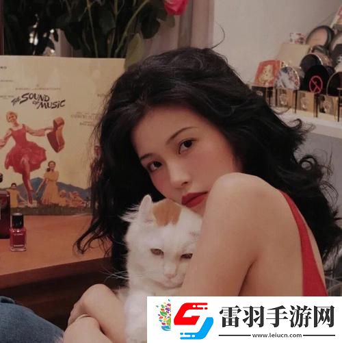 國外免費(fèi)SVN