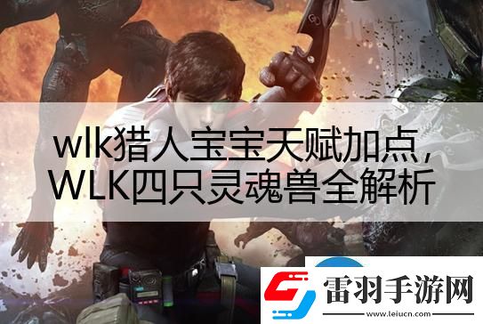 wlk獵人寶寶天賦加點(diǎn)