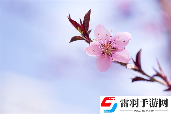 成品網(wǎng)源碼78W78