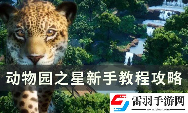 動(dòng)物園之星新手玩什么模式