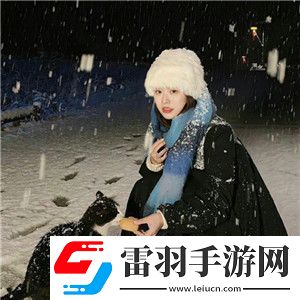 國(guó)產(chǎn)手機(jī)在線國(guó)內(nèi)精品軟件的特點(diǎn)