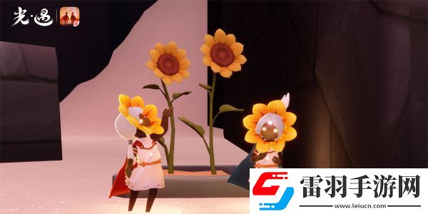 光遇運(yùn)動會什么時候開始