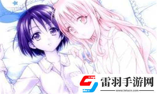saascrm國內(nèi)免費(fèi)pdf