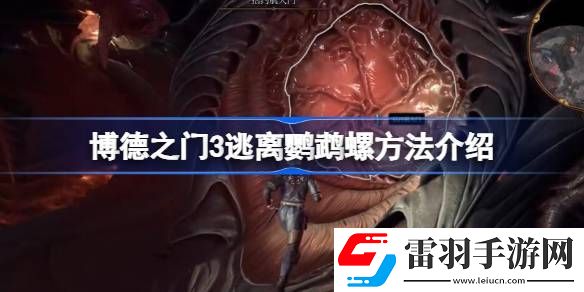 博德之門3逃離鸚鵡螺方法介紹