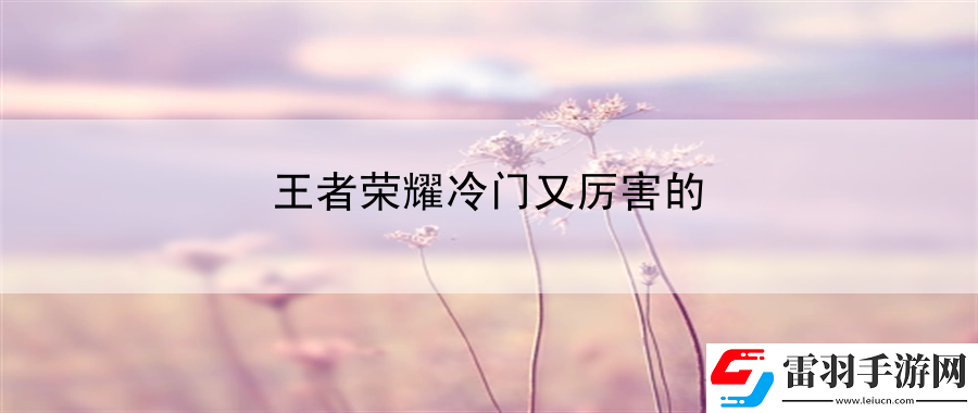 王者榮耀冷門又厲害的