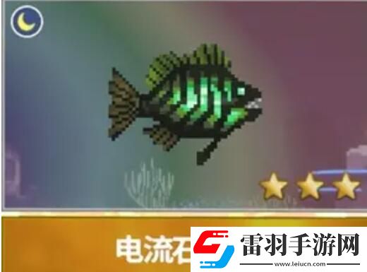 潛水員戴夫漁帆暗涌新增魚類