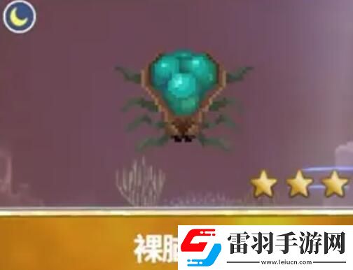 潛水員戴夫漁帆暗涌新增魚類