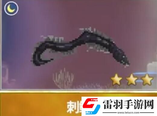 潛水員戴夫漁帆暗涌新增魚類