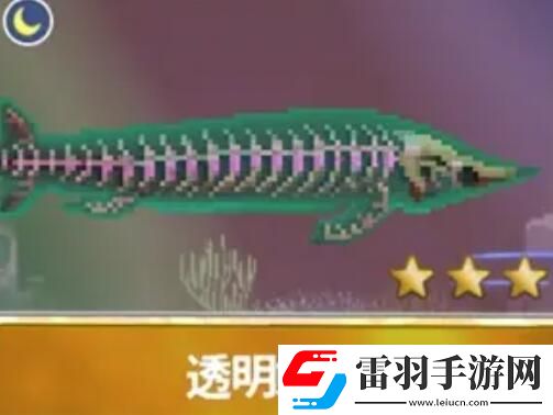 潛水員戴夫漁帆暗涌新增魚類