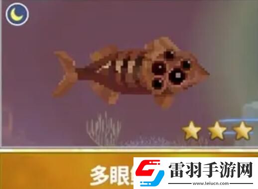 潛水員戴夫漁帆暗涌新增魚類