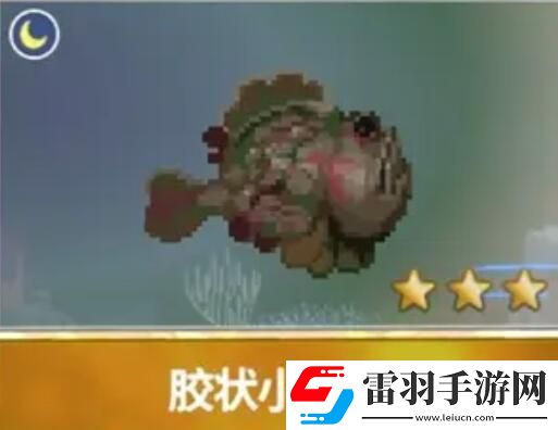 潛水員戴夫漁帆暗涌新增魚類