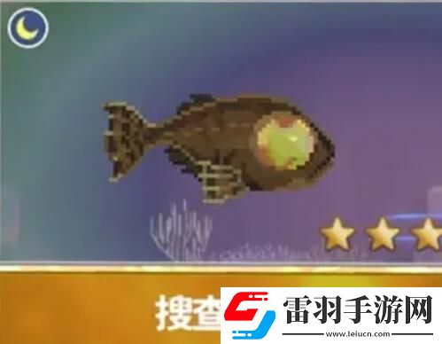 潛水員戴夫漁帆暗涌新增魚類