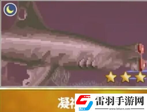 潛水員戴夫漁帆暗涌新增魚類