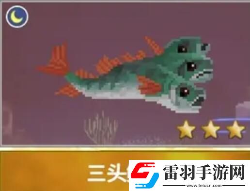 潛水員戴夫漁帆暗涌新增魚類