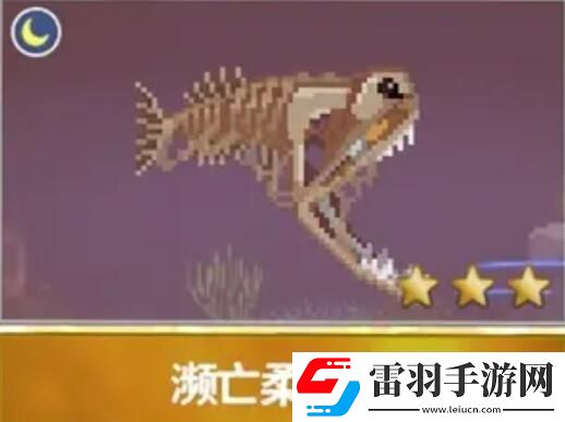 潛水員戴夫漁帆暗涌新增魚類