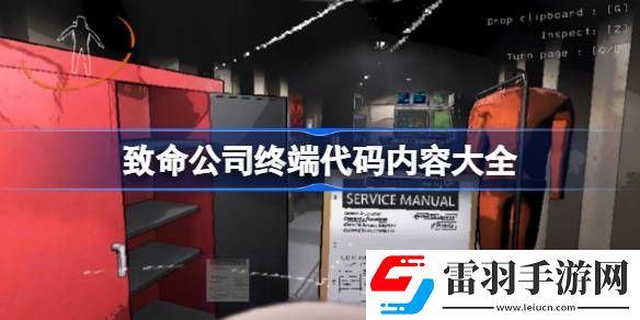 致命公司終端代碼內容大全