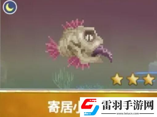 潛水員戴夫漁帆暗涌新增魚類