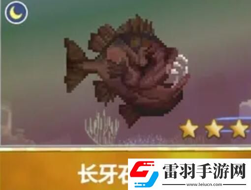 潛水員戴夫漁帆暗涌新增魚類