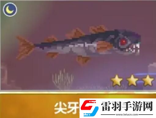 潛水員戴夫漁帆暗涌新增魚類