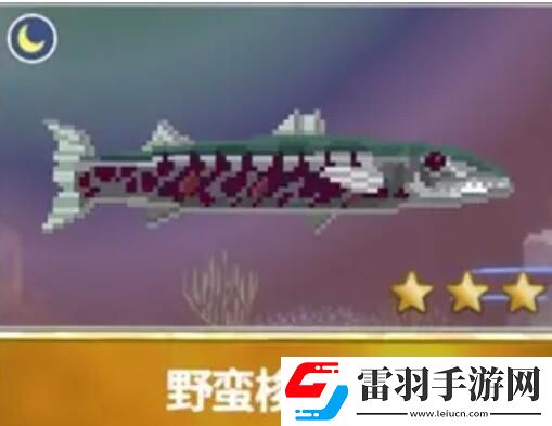 潛水員戴夫漁帆暗涌新增魚類