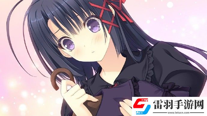 少女理論及其周邊steam多少錢(qián)