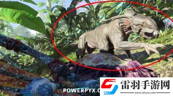 阿凡達(dá)潘多拉邊境非狂野黑甲巨豹在哪