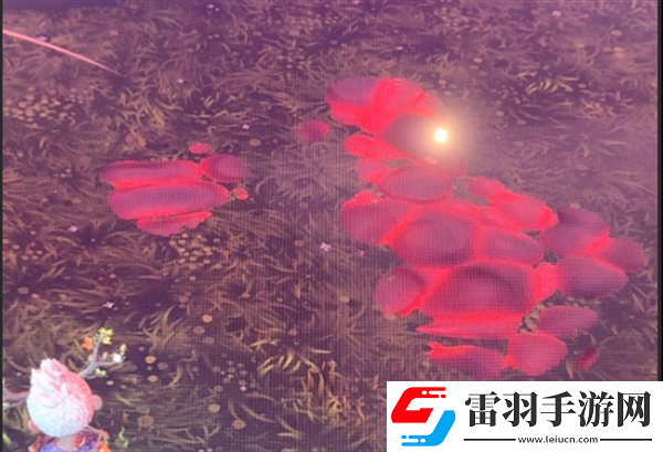 荒原療者污染地面修復方法
