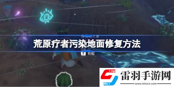 荒原療者污染地面修復方法