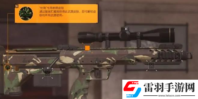 全境封鎖2武器皮膚怎么裝備