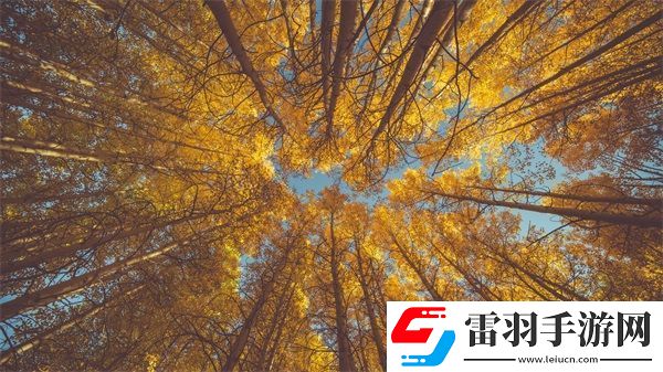 麻豆精產(chǎn)三產(chǎn)最簡單處理方法