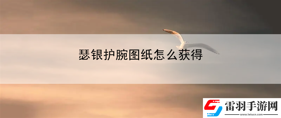 瑟銀護(hù)腕圖紙怎么獲得