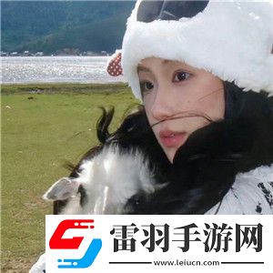 人or豬or狗已徹底下架