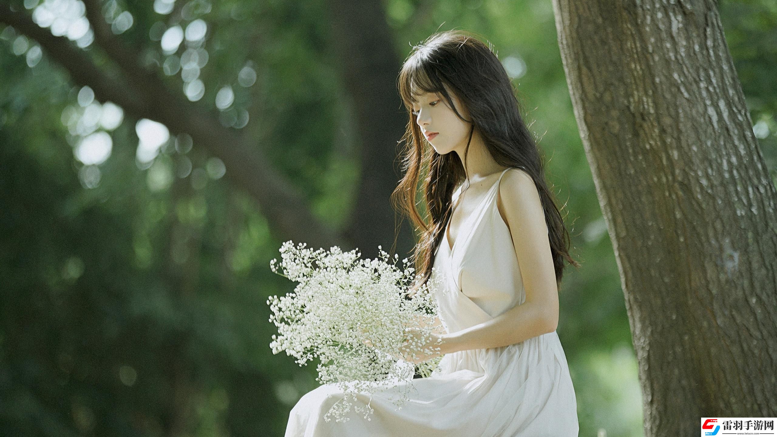 秘密花園高清在線觀看完整版：走進秘密花園，在線觀看完整版，感受那片花園帶來的溫暖與治愈！