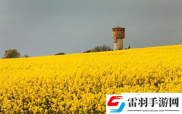 鬼泣巔峰之戰(zhàn)