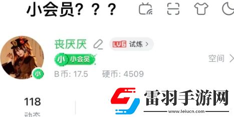 b站年度小會(huì)員怎么開(kāi)通