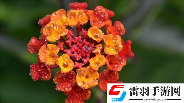授課方式肉餡小水餃晉骨
