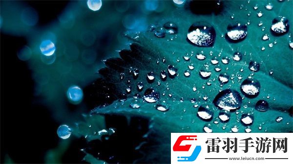 國產(chǎn)日產(chǎn)歐產(chǎn)精品浪潮的隱私保護(hù)重要性
