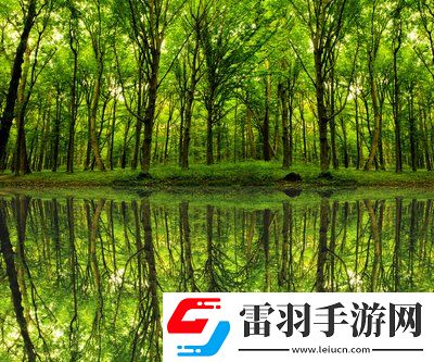 單身男女觀看免費(fèi)完整版：在愛與孤獨(dú)之間，讓你感受不一樣的心動(dòng)時(shí)刻！