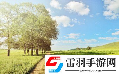 液體收集器系統(tǒng)HH的安裝指南：準(zhǔn)備到完成，確保每一步都精準(zhǔn)無(wú)誤！
