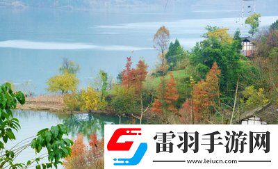 老牛影視文化傳媒有限公司官方：匠心打造精品影視，開啟文化新紀(jì)元！