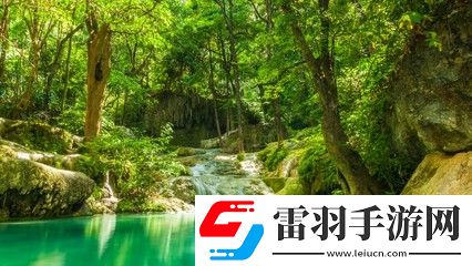 x7x7任意噪入口直達(dá)大象：探索無盡可能的數(shù)字世界，暢享驚奇與樂趣！