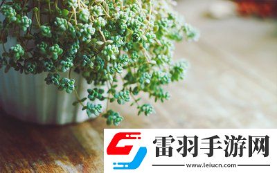 校園pop1n高中多場地文，青春無敵,網(wǎng)友：帶你走進多場地高中的精彩紛呈！