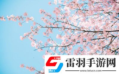 日本插槽x8是正規(guī)還是仿：設計到性能的認識，避免踩坑你需要知道的一切！