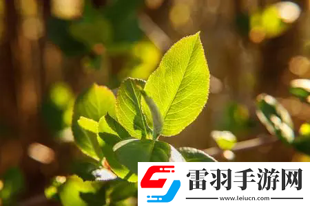 校園pop1n高中多場地文：學子齊聚校園pop1n，領(lǐng)略青春的多彩演繹，開啟無限可能！